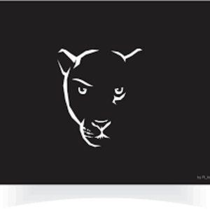 WELLY JAGUAR XK COUPE DIECAST 1:18 SCALE W/O BOX